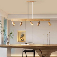Verstellbare Deckenstrahler aus Holz – EcoLux