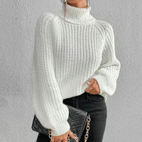 Rollkragenpullover für Damen - Velmora