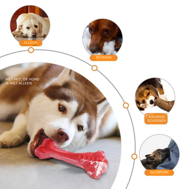 Der Verspielte Zahnpfleger für Hunde – BuddyChew