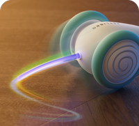 Das Ultimative Kauspielzeug für Katzen – WhiskerPlay