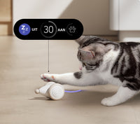 Das Ultimative Kauspielzeug für Katzen – WhiskerPlay