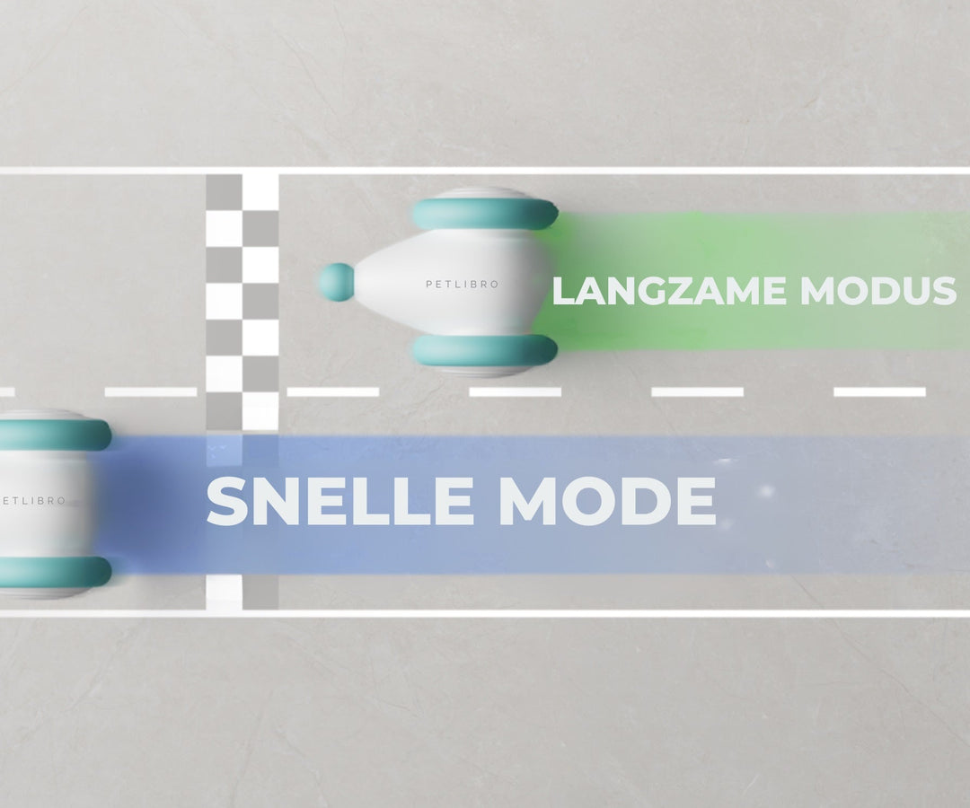 Das Ultimative Kauspielzeug für Katzen – WhiskerPlay