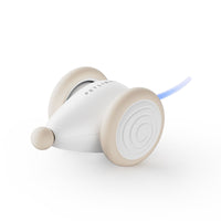 Das Ultimative Kauspielzeug für Katzen – WhiskerPlay