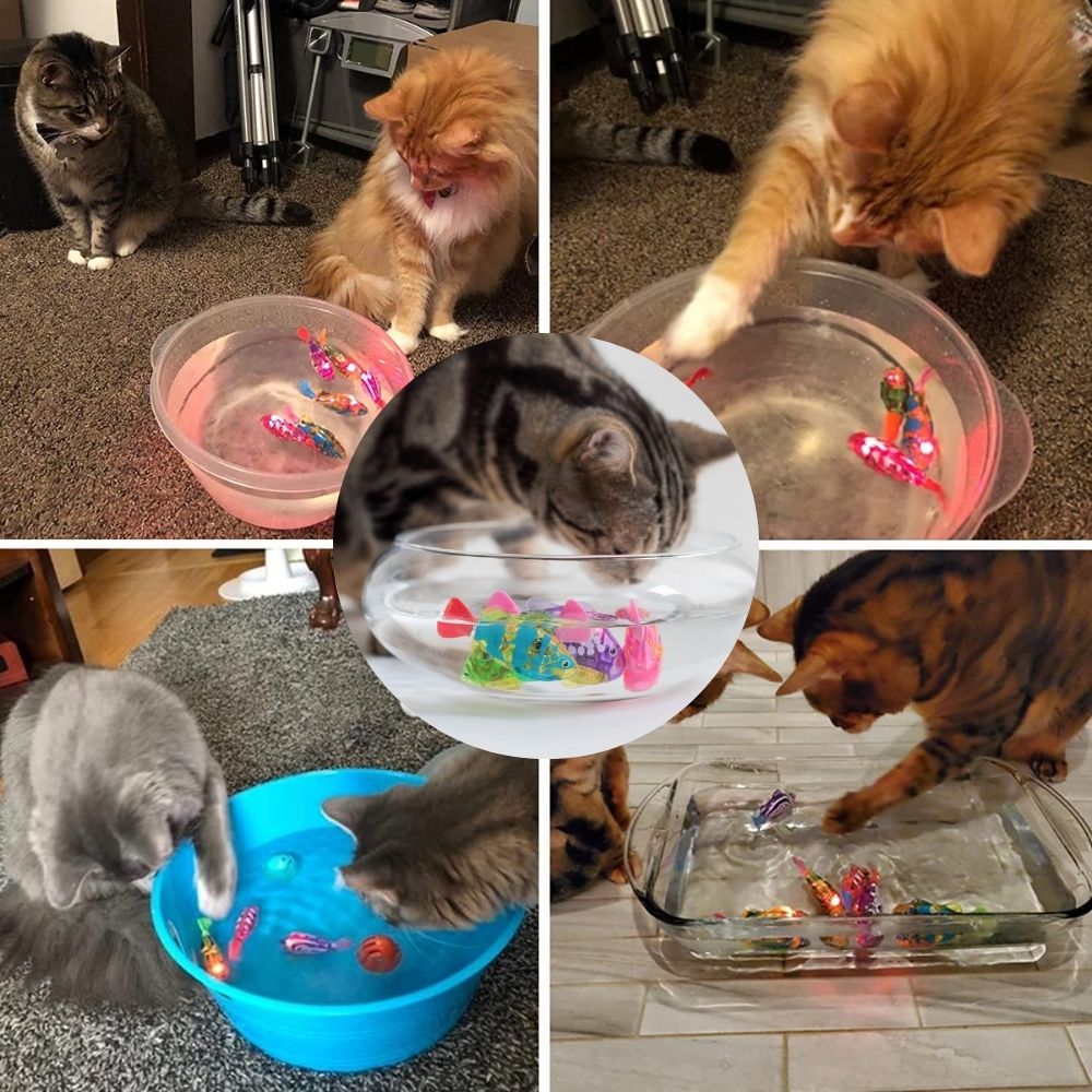 Spielset für Katzen – AquaPurr