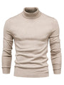 Trendy Herren Rollkragenpullover - Lars