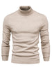 Trendy Herren Rollkragenpullover - Lars