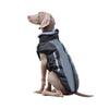 Reflektierende Hundejacke mit Geschirr - GlowPaw™