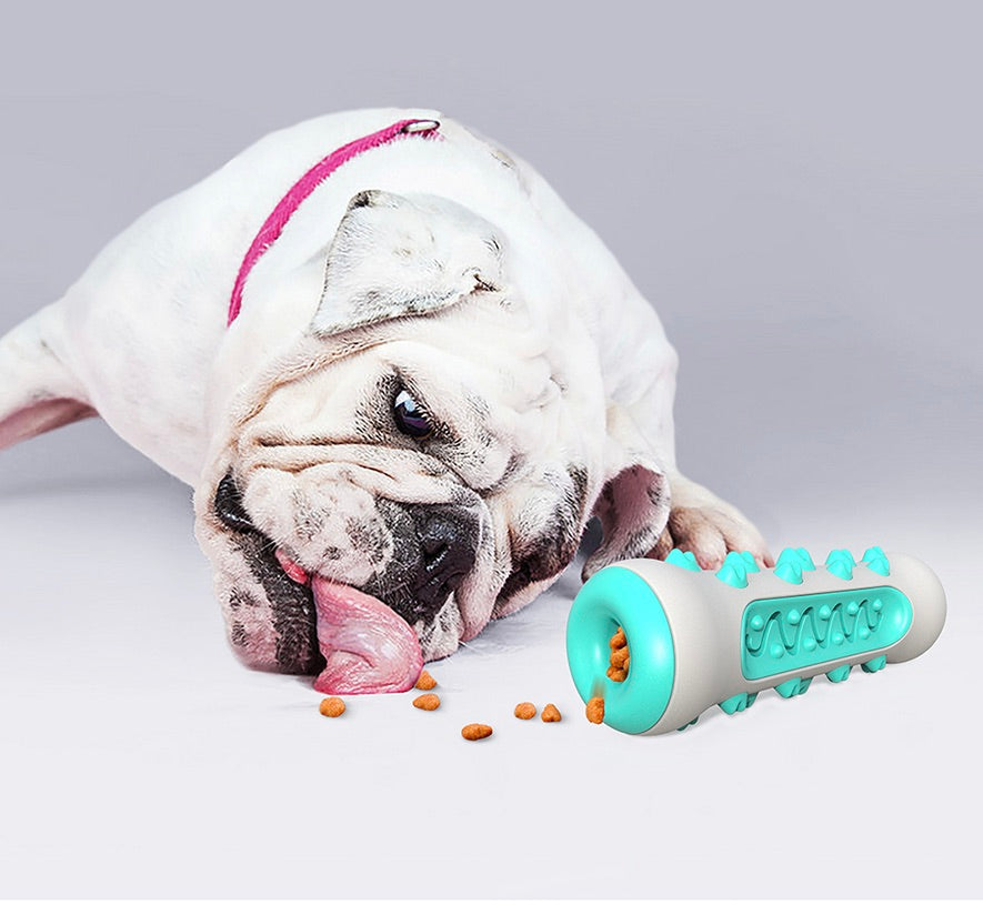 Tooth-cleaning Chew Toy for Dogs – Chewly