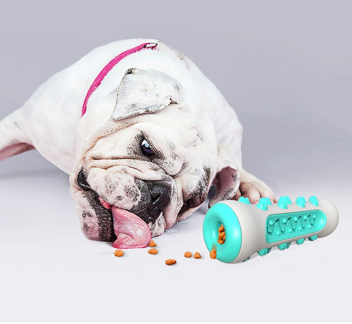 Tooth-cleaning Chew Toy for Dogs – Chewly