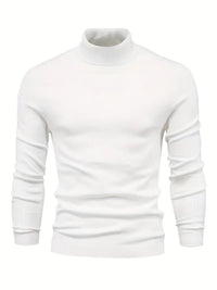 Trendy Herren Rollkragenpullover - Lars