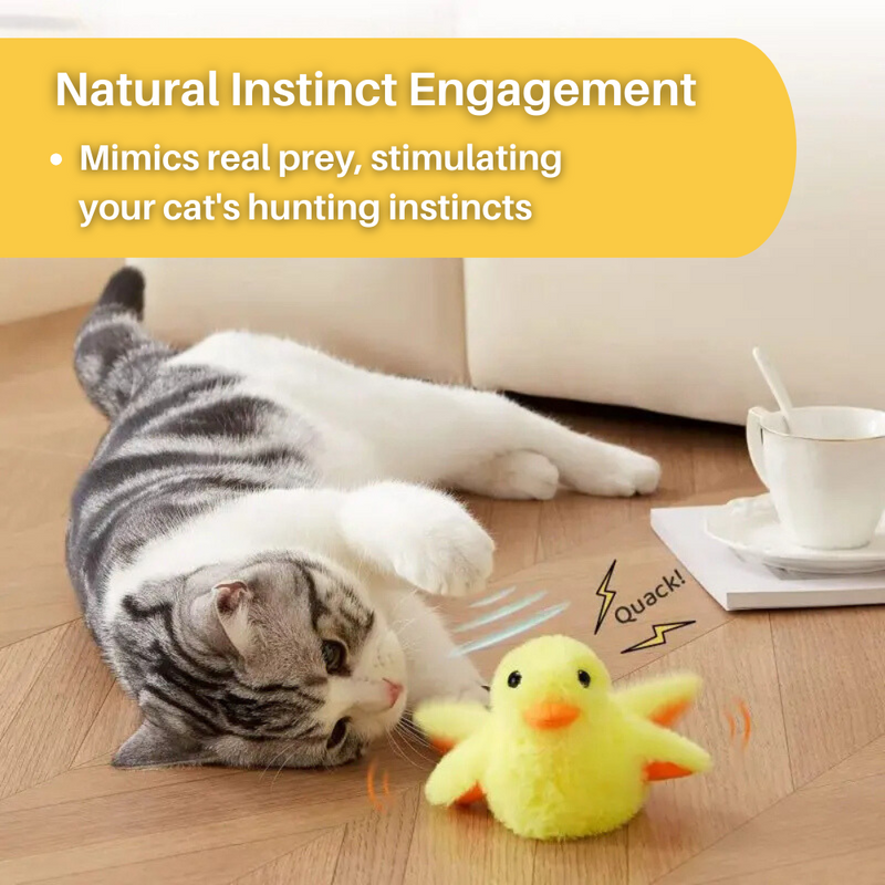 Flatternde Ente Katzenspielzeug – DuckDash™ (1+1 GRATIS)