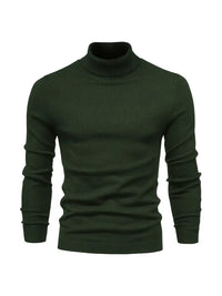 Trendy Herren Rollkragenpullover - Lars
