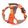 Robustes & Komfortables Hundegeschirr - ActivePup™