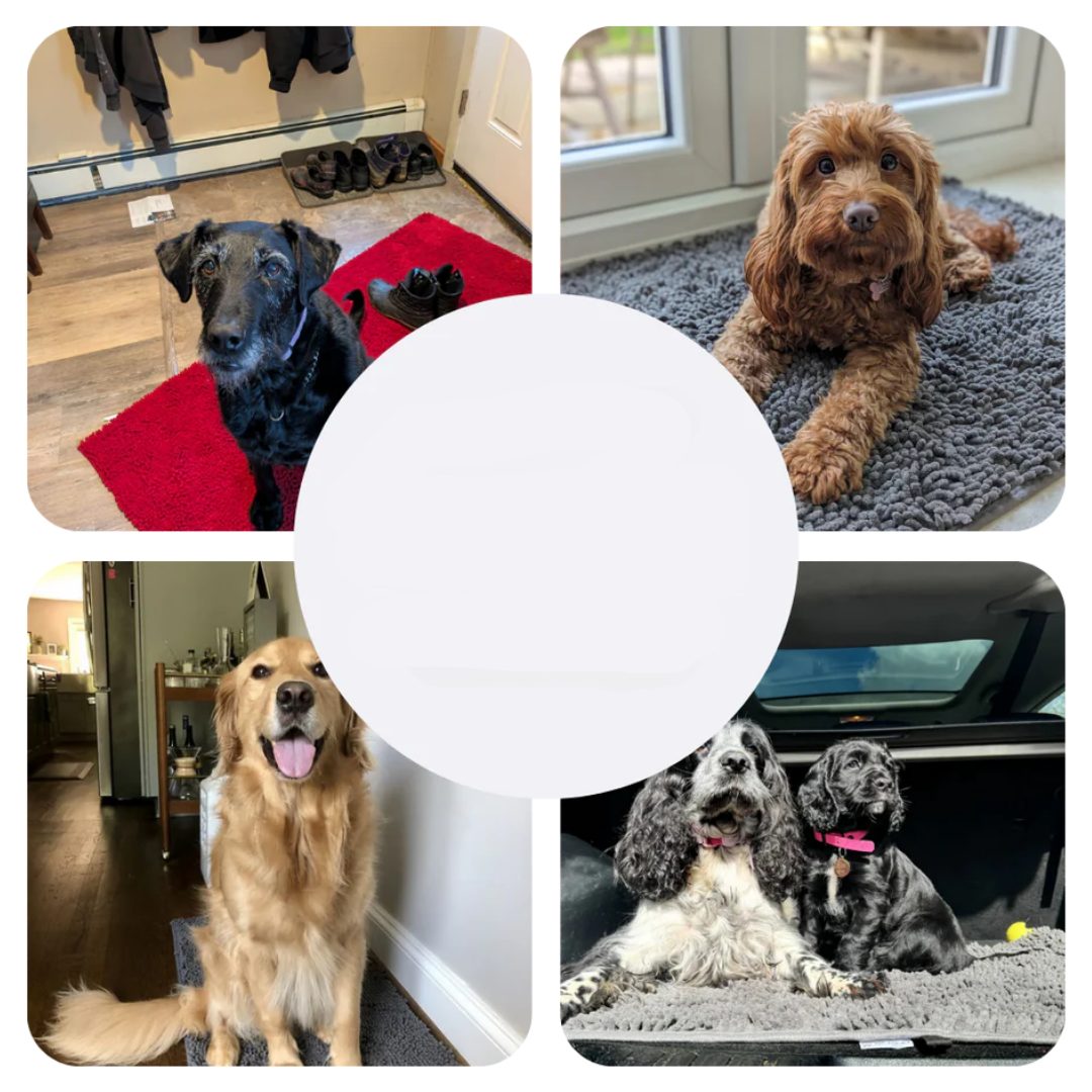 Super absobierende Hundematte – PawMat