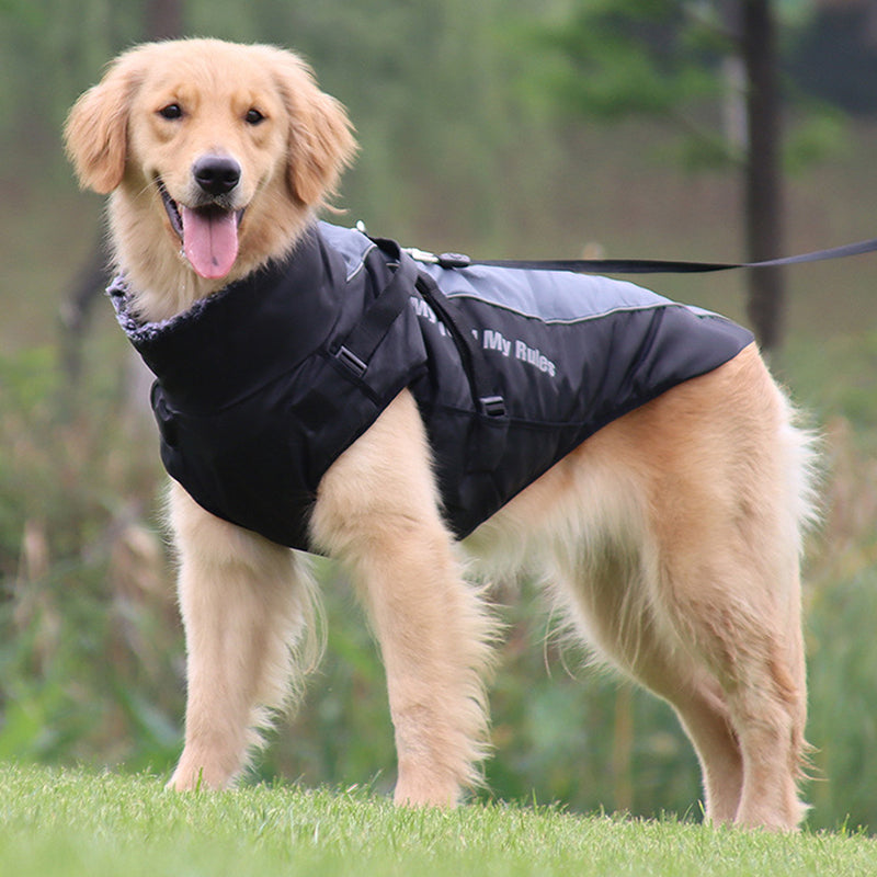 Reflektierende Hundejacke mit Geschirr - GlowPaw™