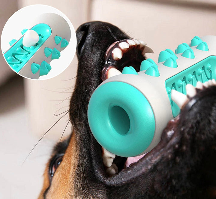 Tooth-cleaning Chew Toy for Dogs – Chewly