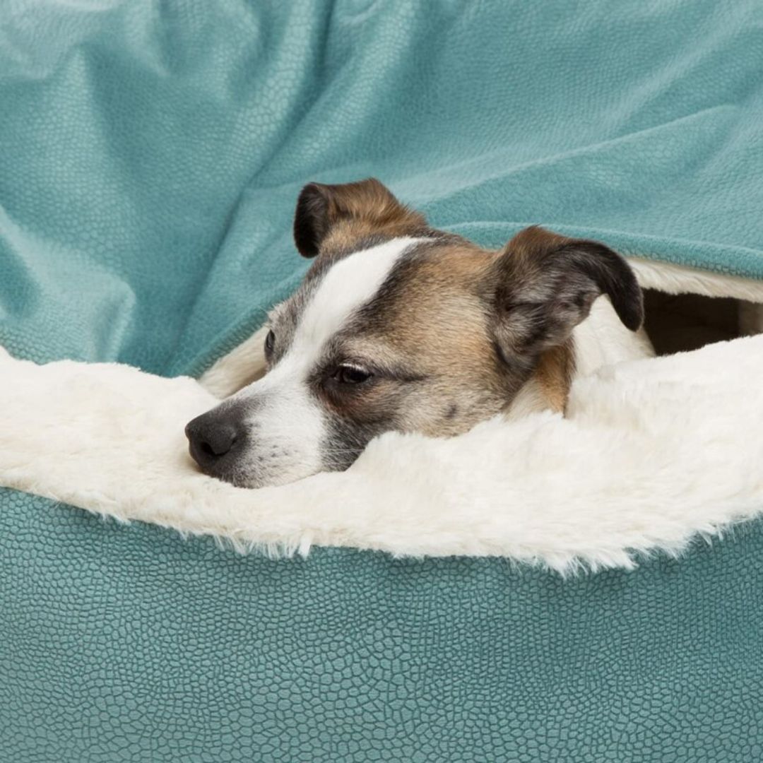 Hunde-Kuschel-Höhle - SnuggleNest