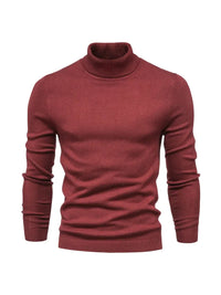 Trendy Herren Rollkragenpullover - Lars