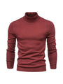 Trendy Herren Rollkragenpullover - Lars