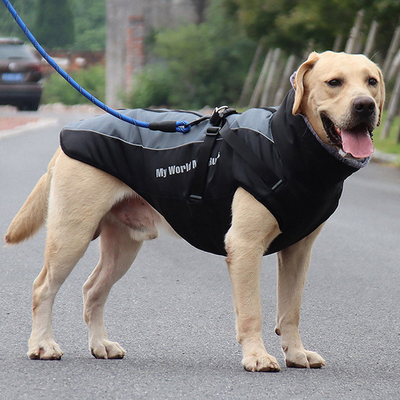 Reflektierende Hundejacke mit Geschirr - GlowPaw™