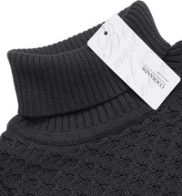Casual Knitted Men's Turtleneck - Sander