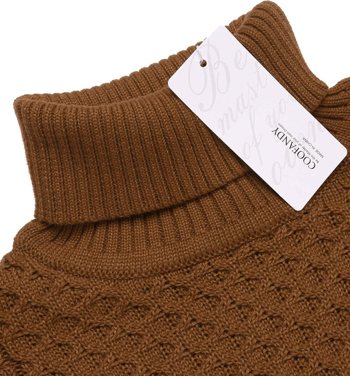 Casual Knitted Men's Turtleneck - Sander