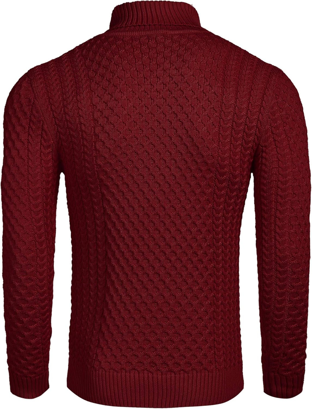 Casual Knitted Men's Turtleneck - Sander