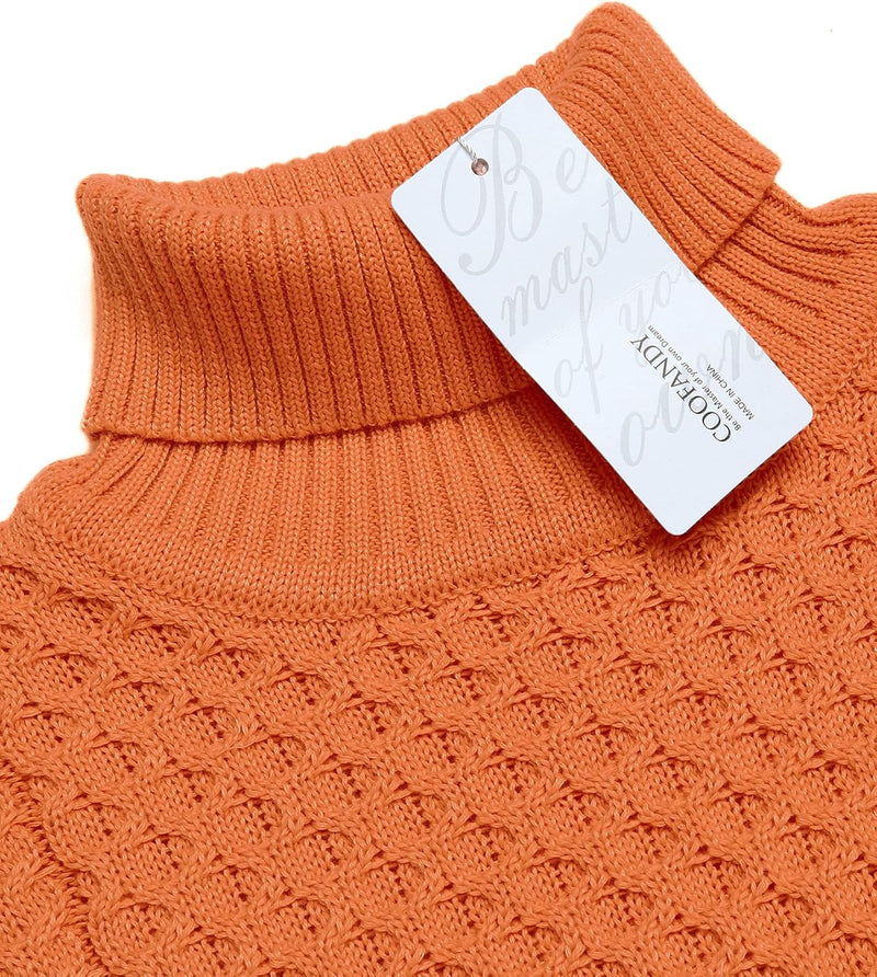 Casual Knitted Men's Turtleneck - Sander