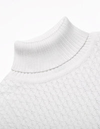 Casual Knitted Men's Turtleneck - Sander