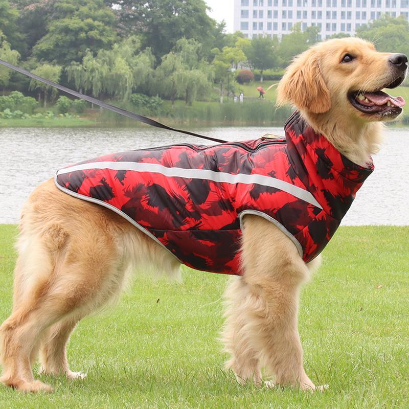 Wasserdichte Winterjacke für Hunde – StormGuard