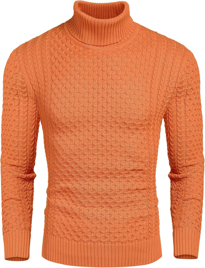 Casual Knitted Men's Turtleneck - Sander