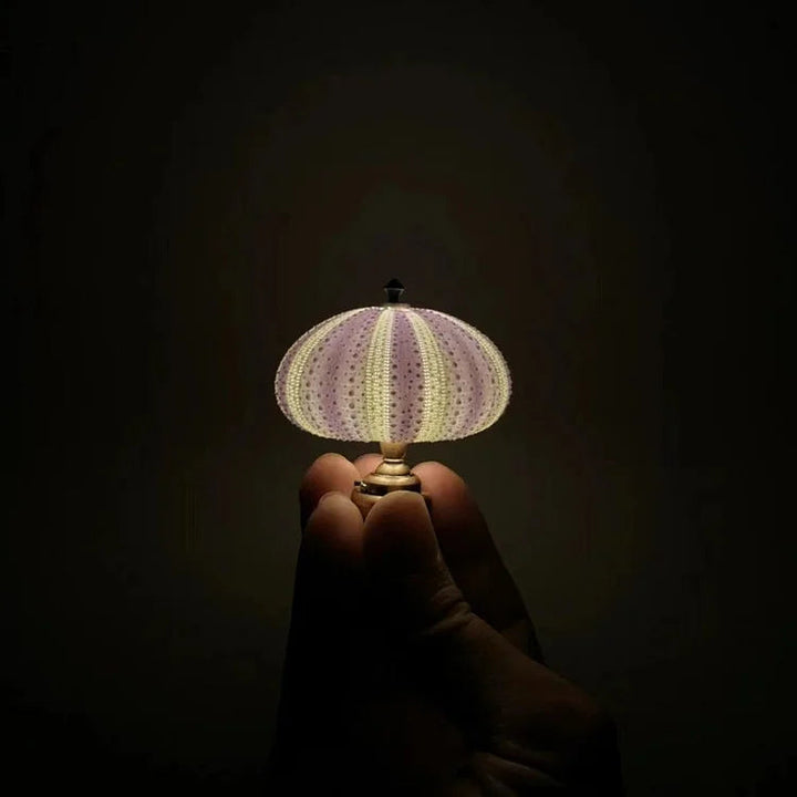 DIY Seeigel Nachtlicht - LumiUrchin