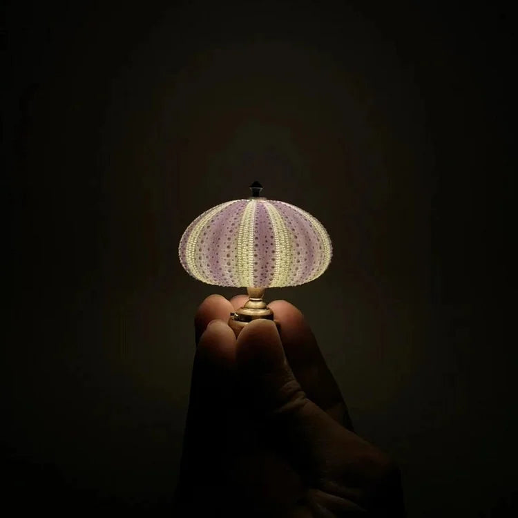 DIY Seeigel Nachtlicht - LumiUrchin