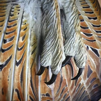 Holzwanddeko – Eule “Majestic”