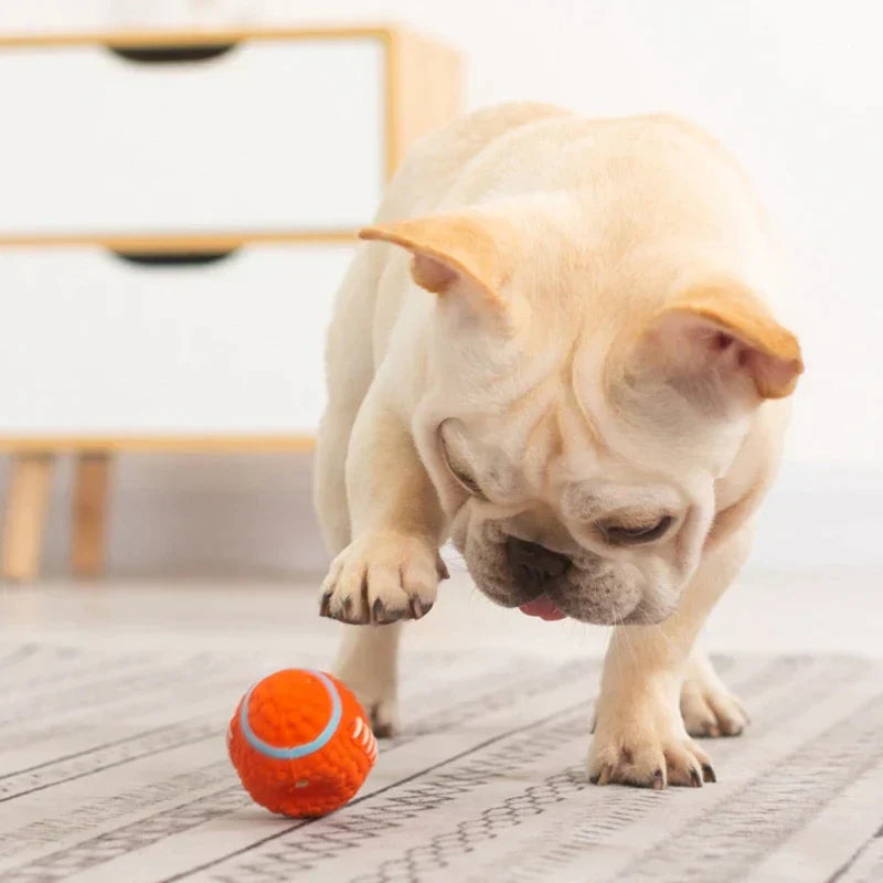Der Unzerstörbare Spielkamerad für Hunde – KryptoChew
