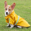 Hunde-Regenjacke - RainGuard Pro