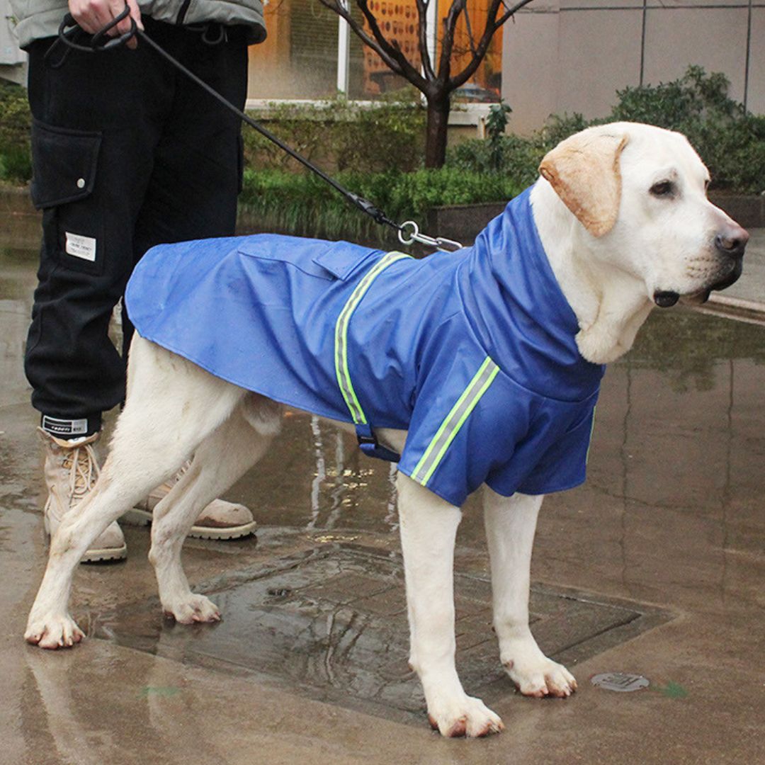 Hunde-Regenjacke - RainGuard Pro