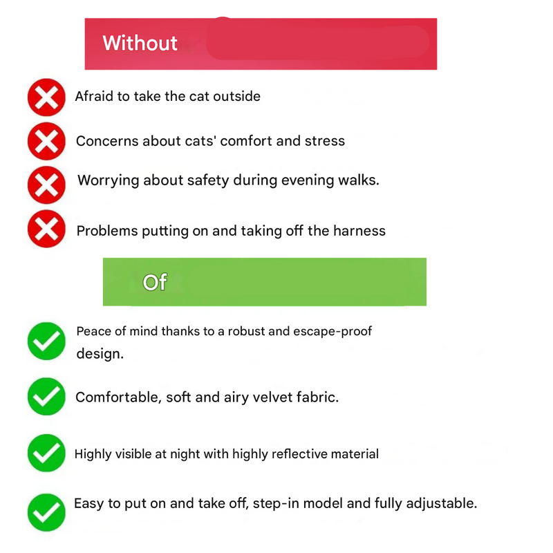 Adjustable Cat Harness with Leash – WhiskerWander