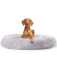 Calming Dog Pillow - Snoozy