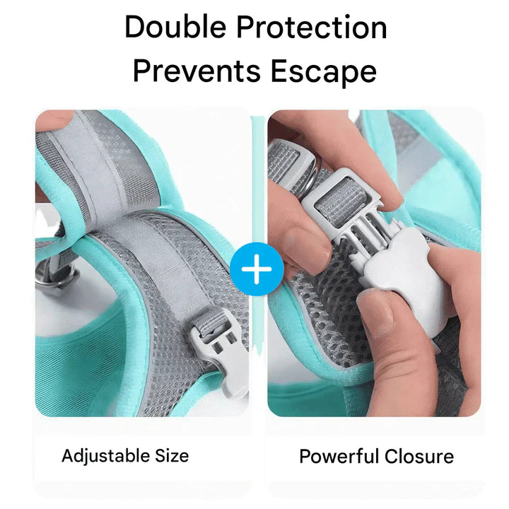 Adjustable Cat Harness with Leash – WhiskerWander