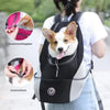 Abenteuerlicher Haustier Rucksack - TrekPaws