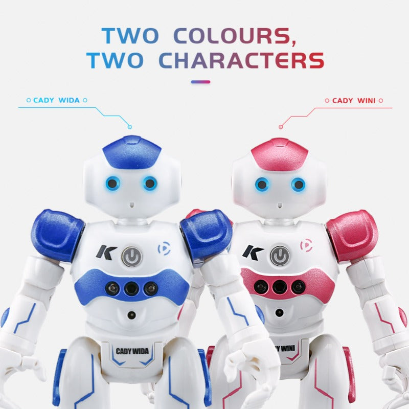 Interaktive Bildungsroboter - NovaBot