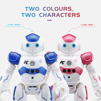 Interaktive Bildungsroboter - NovaBot