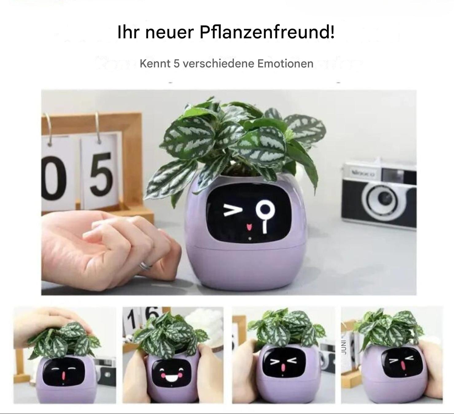 Automatischer Smart-Blumentopf – GreenBuddy SmartPot