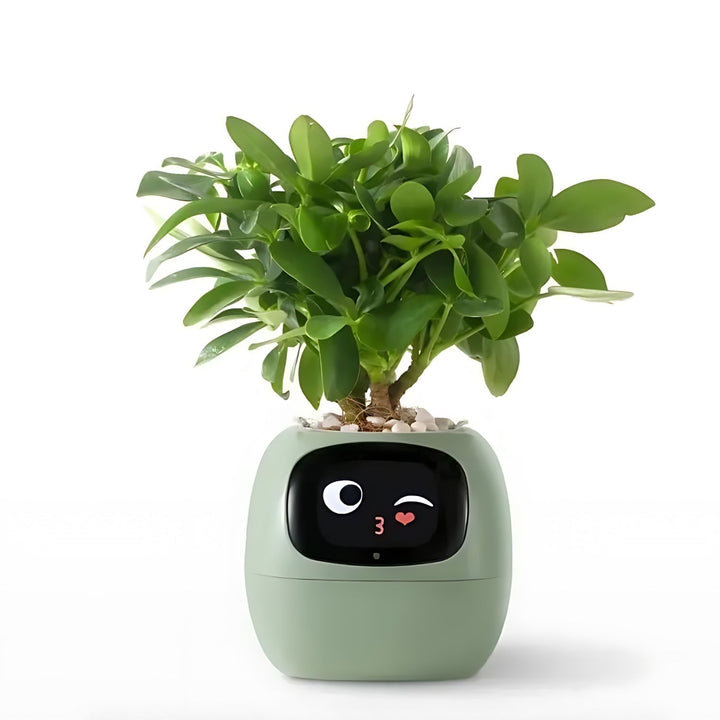 Automatic Smart Flower Pot – GreenBuddy SmartPot