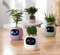 Automatic Smart Flower Pot – GreenBuddy SmartPot