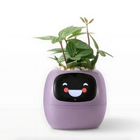 Automatic Smart Flower Pot – GreenBuddy SmartPot