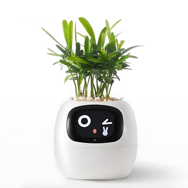 Automatic Smart Flower Pot – GreenBuddy SmartPot