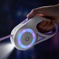 Leuchtende Hundeleine mit Taschenlampe – GlowGuard