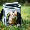 Katzenrucksack – PurrPack™